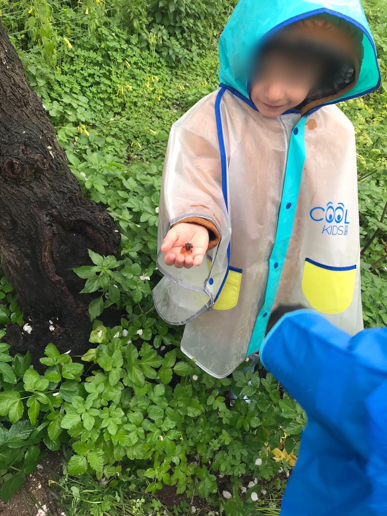 331542452_568380238592090_5298987286453573320_n