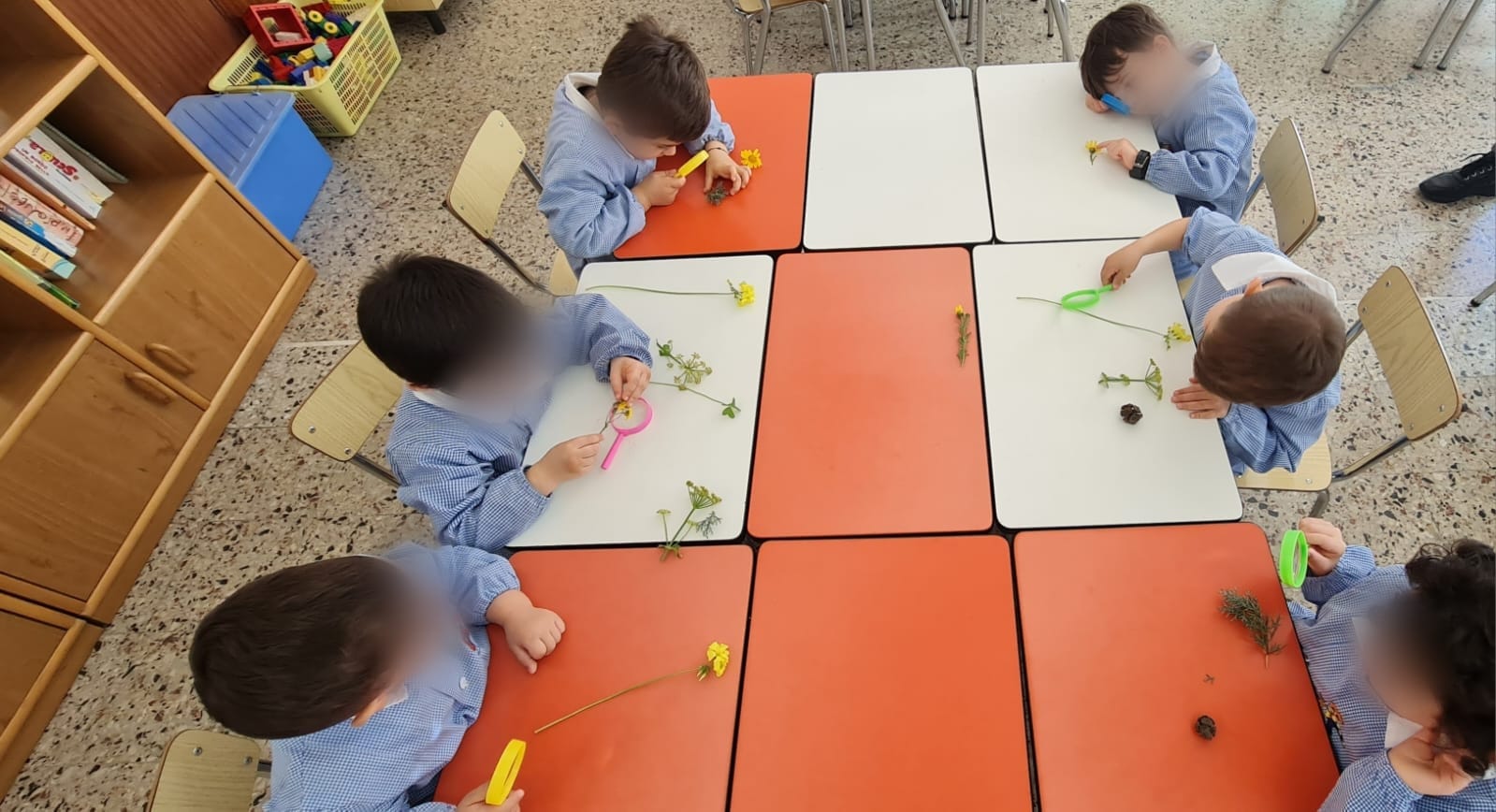 336674097_753292569706793_5565961293755014838_n