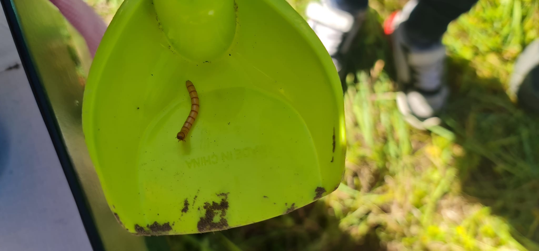 336794024_115968921372846_8707252300962013277_n