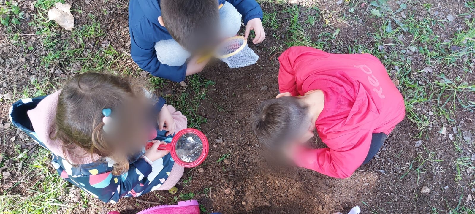 337007316_883526922737215_7038801683845399088_n