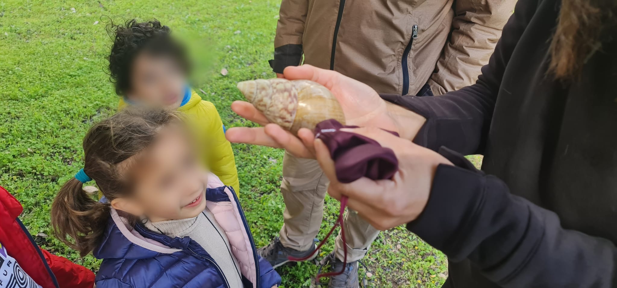 337024350_741303761049635_5583158471857229684_n