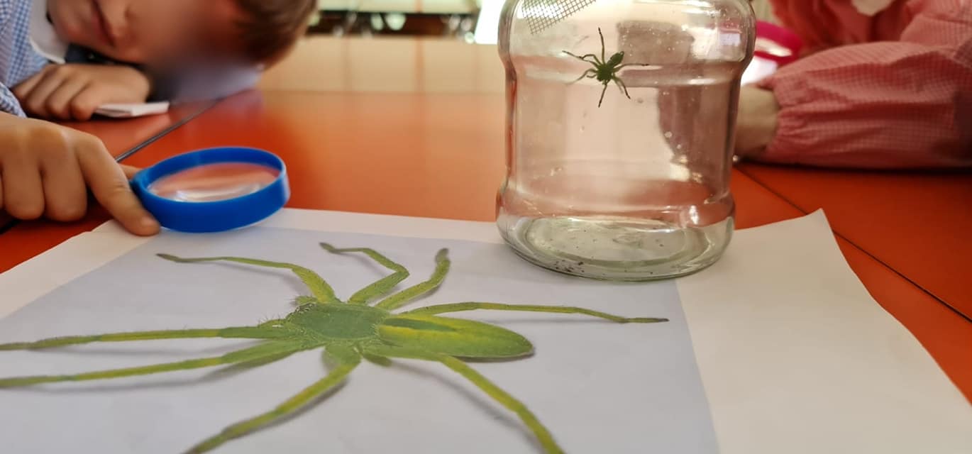 337040713_5855689487863345_7945252932919163796_n