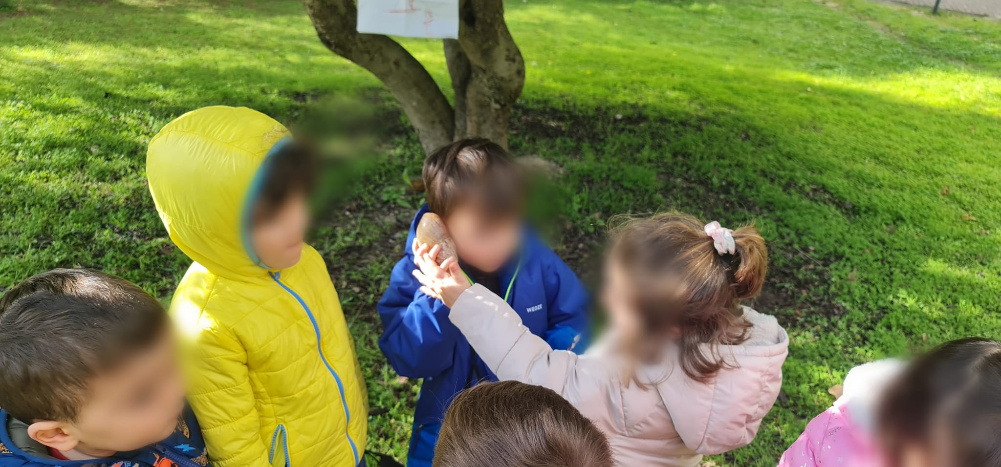 337090906_648640923664171_4573154489310042986_n