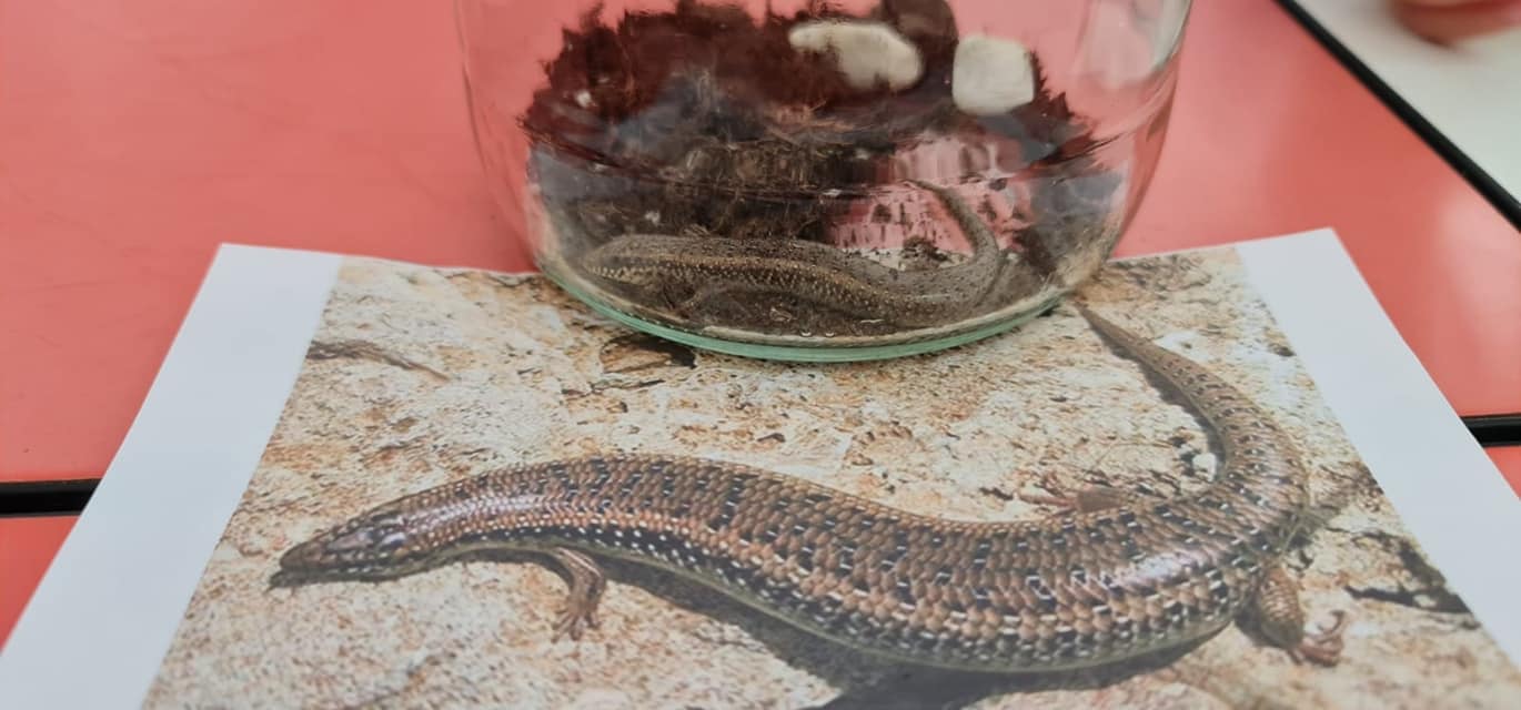 337106548_748844336813882_8797419885000722202_n