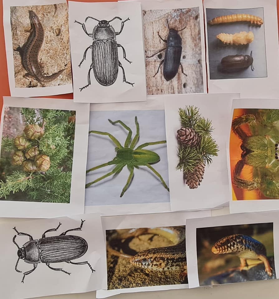 337124771_276255608076543_2693875786884814593_n