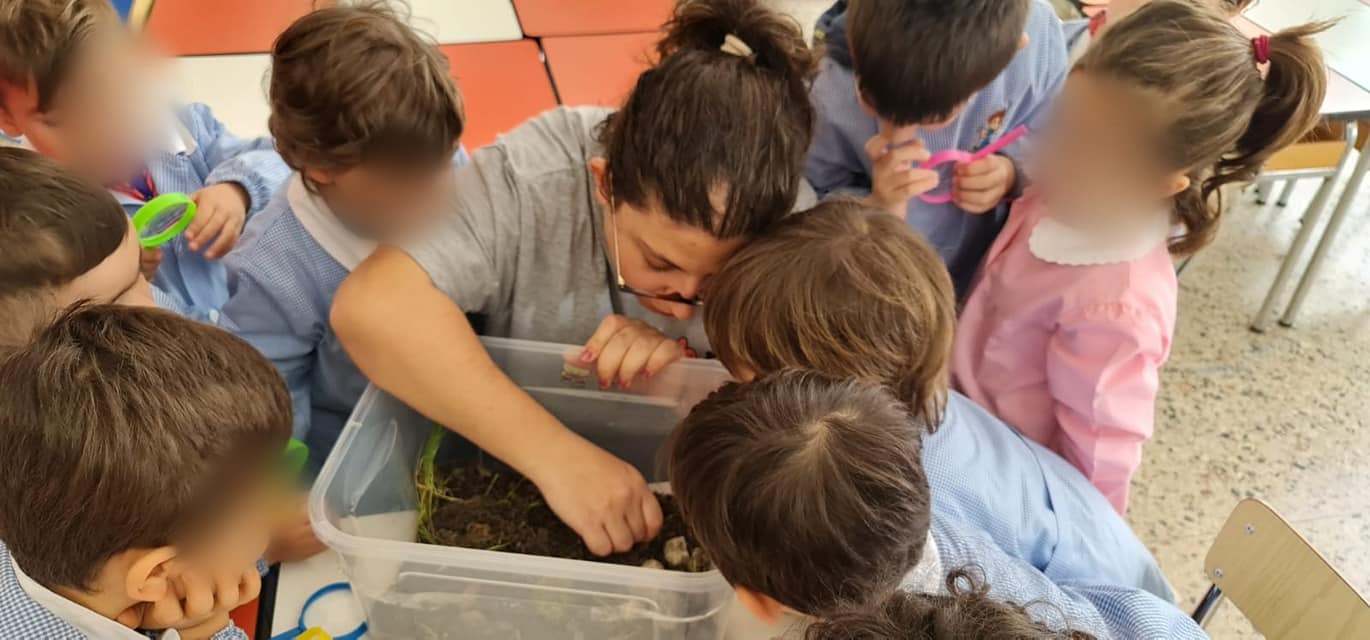 337140054_731761058593631_8255382656385329735_n