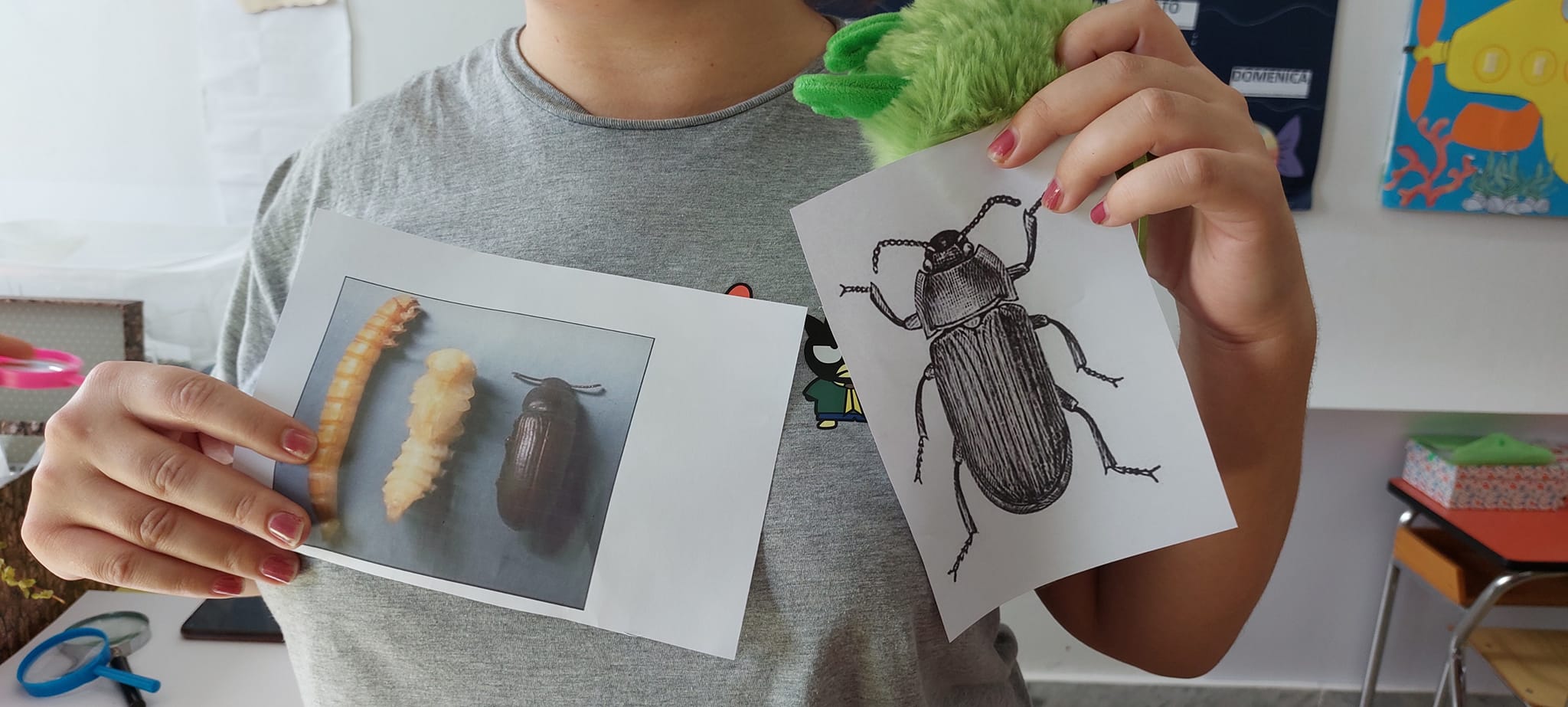 337153513_1630603274072600_5151469374352483939_n