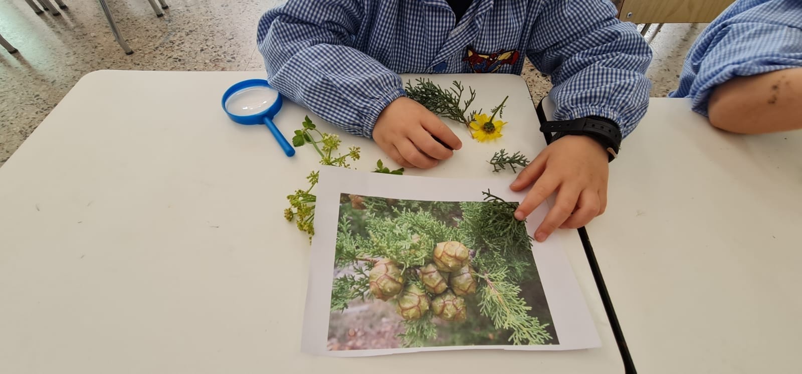 337254371_1251550372381338_8901846559201022102_n